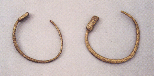 Brincos